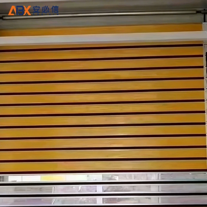 林芝市消防高速门